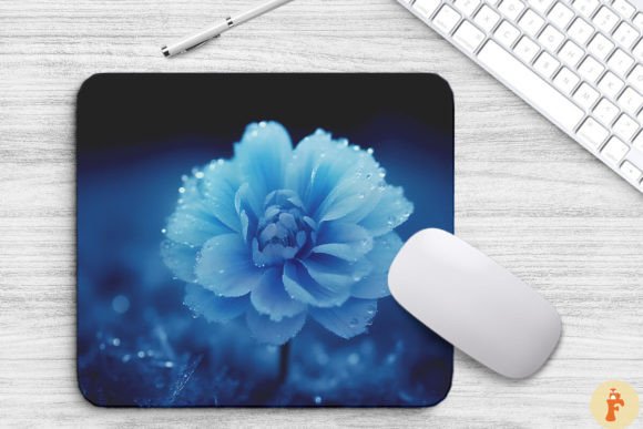 Frozen Blue Flower: Graphics & Backgrounds